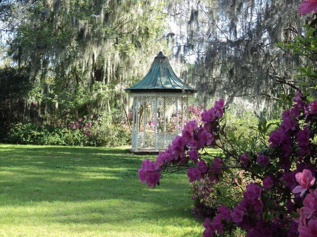 Pergola et jardin